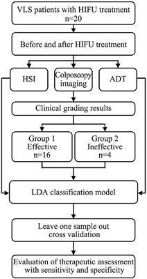 Therapeutic Assessment of High-Intensity Focused Ultrasound for Vulvar Lichen Sclerosus by Active Dynamic Thermal Imaging and Hyperspectral Imaging—A Preliminary Study